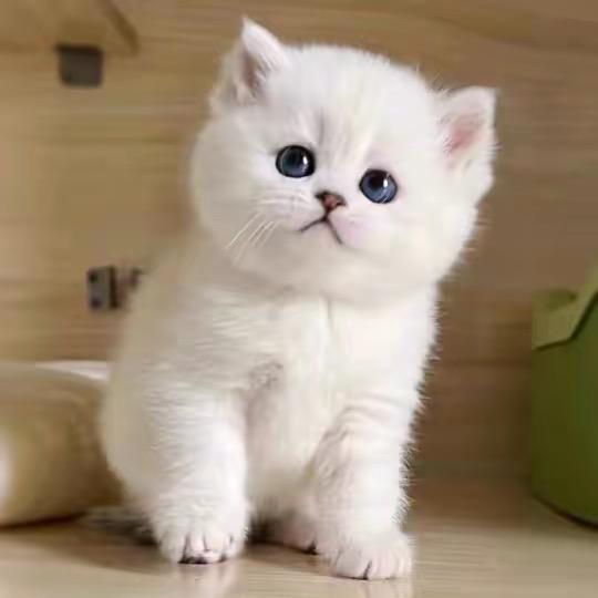 ໑ຼₒ໑ຼ₆勇往ᦸꪟꪳ直前ꦿ࿐ᩚ