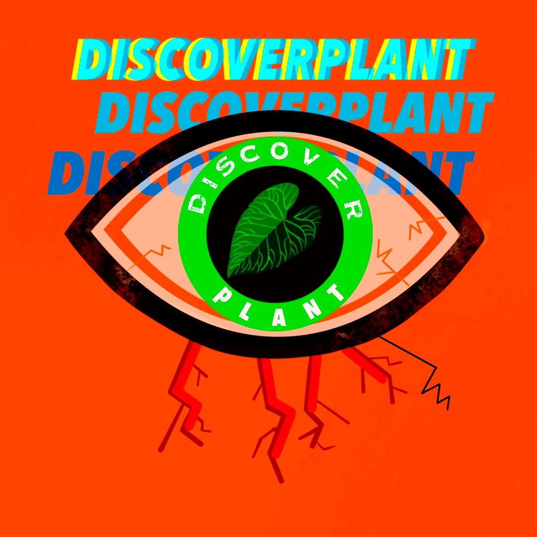 探索植物 DiscoverPlant
