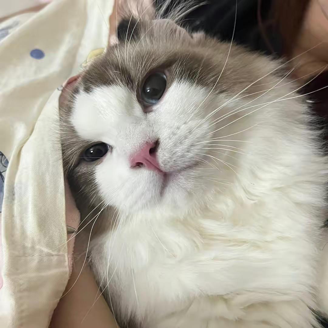鞋帽女装
