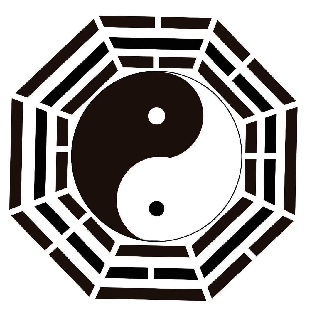 纯阳子