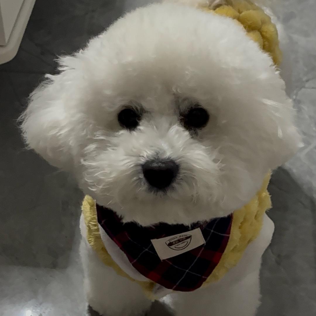 ✘只想摆烂--ᵃ