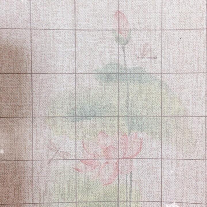 筱溪爱写字儿