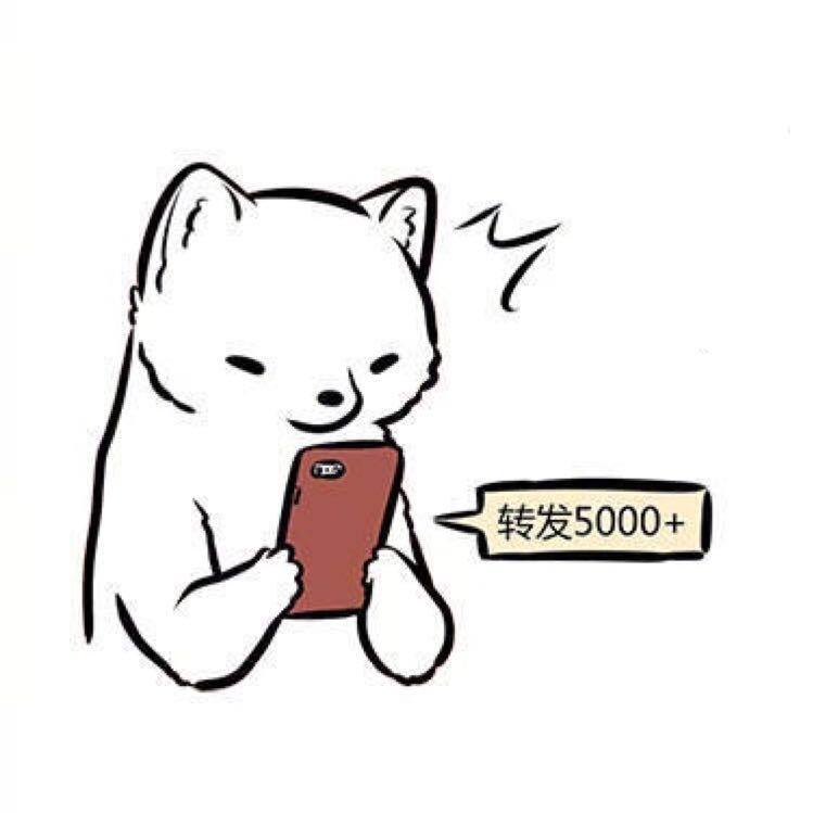 优优优优叔