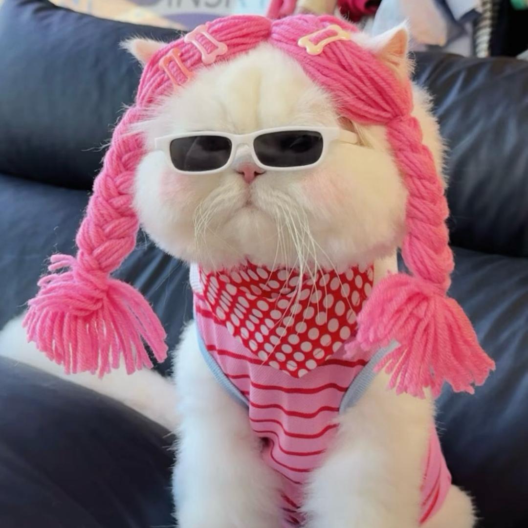 当地知名村花🌻