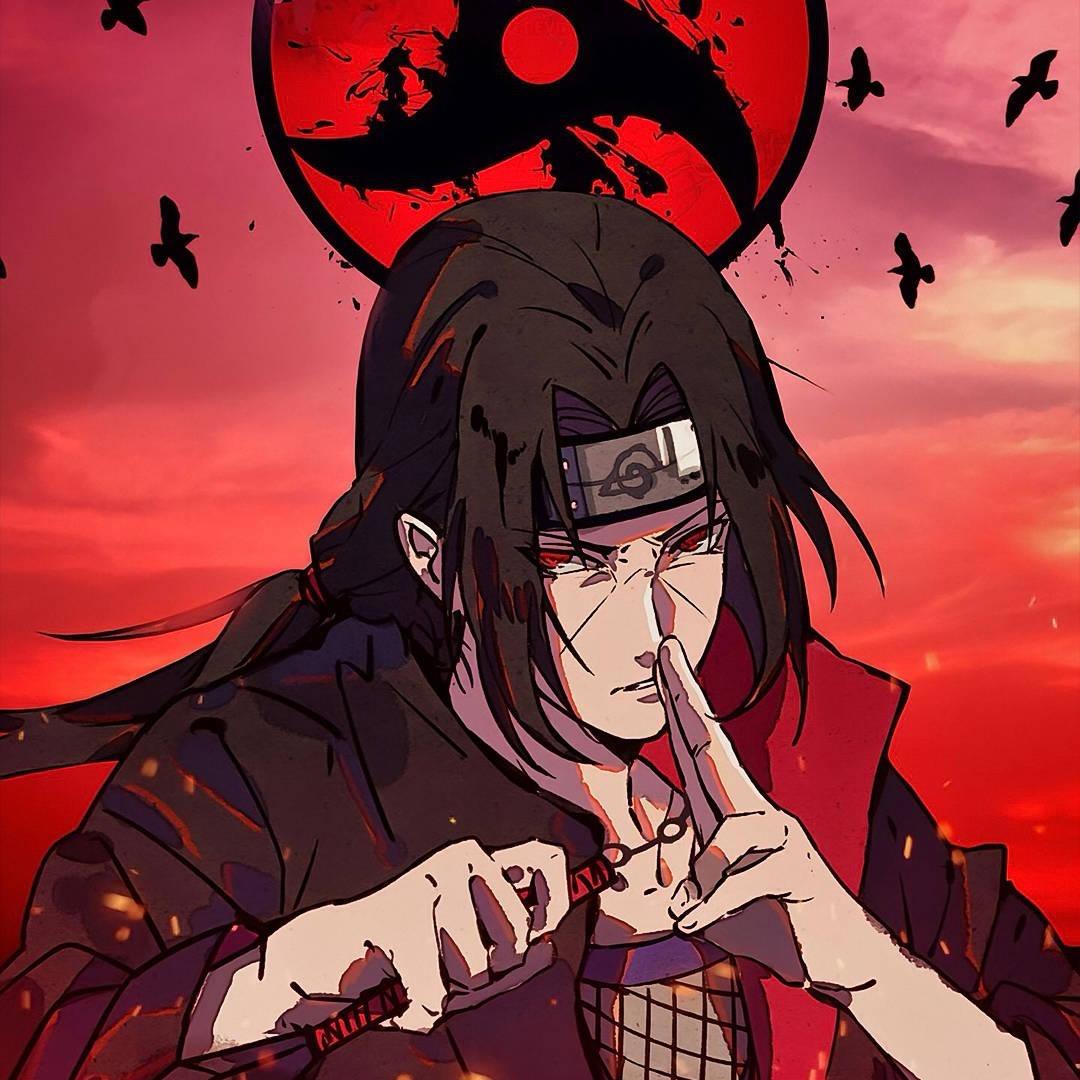 胖子潮玩拆卡店