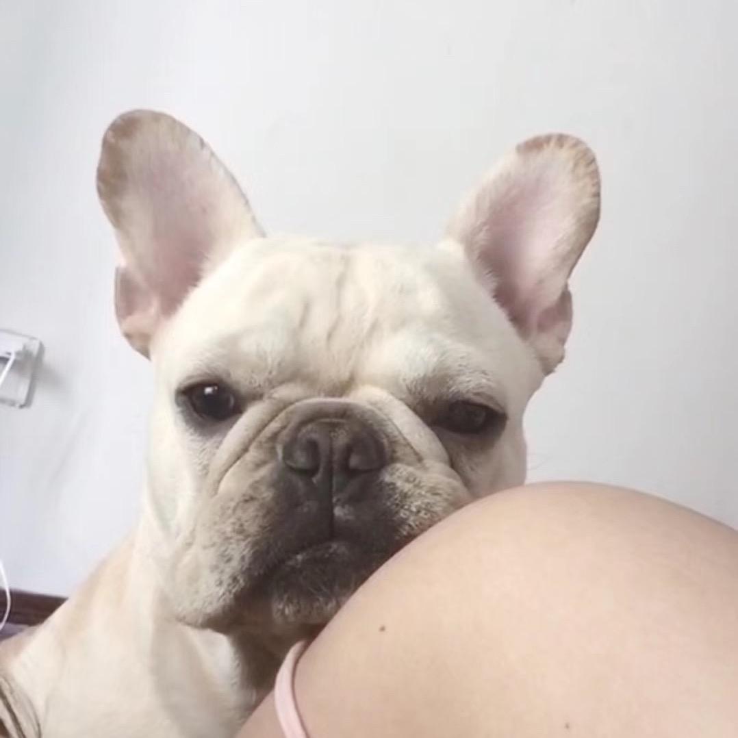 Pandapanpan