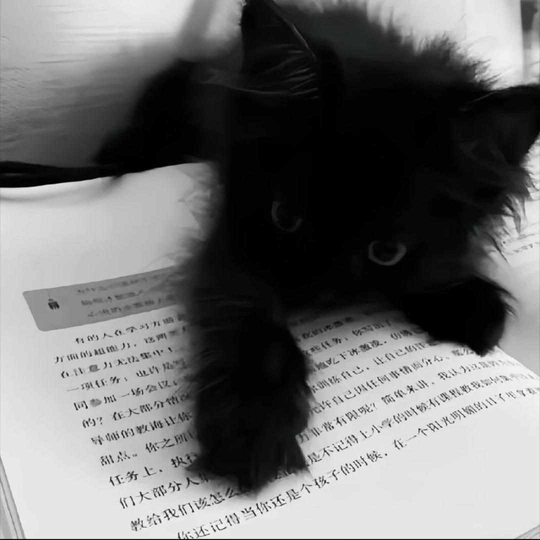 AAA建材批发 陈总