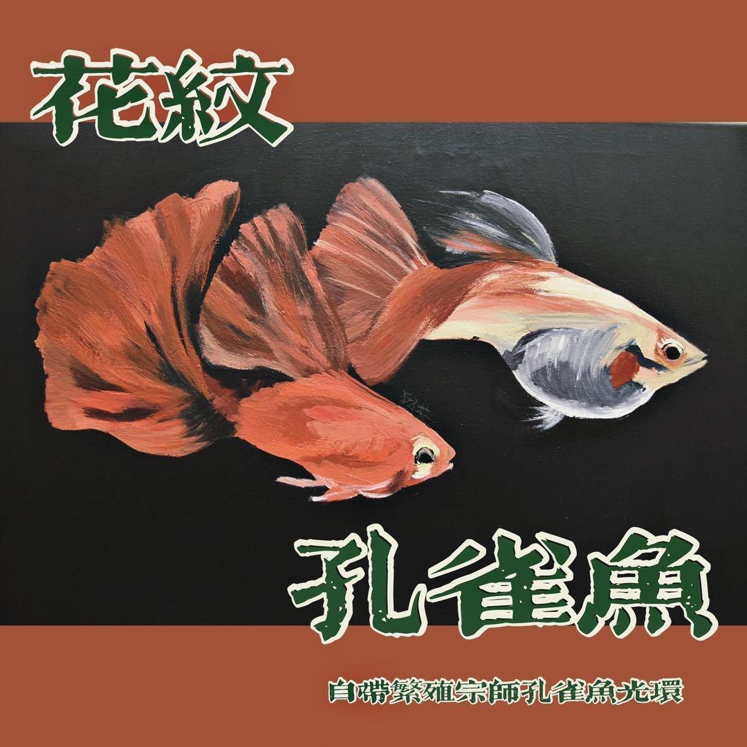 花海水族