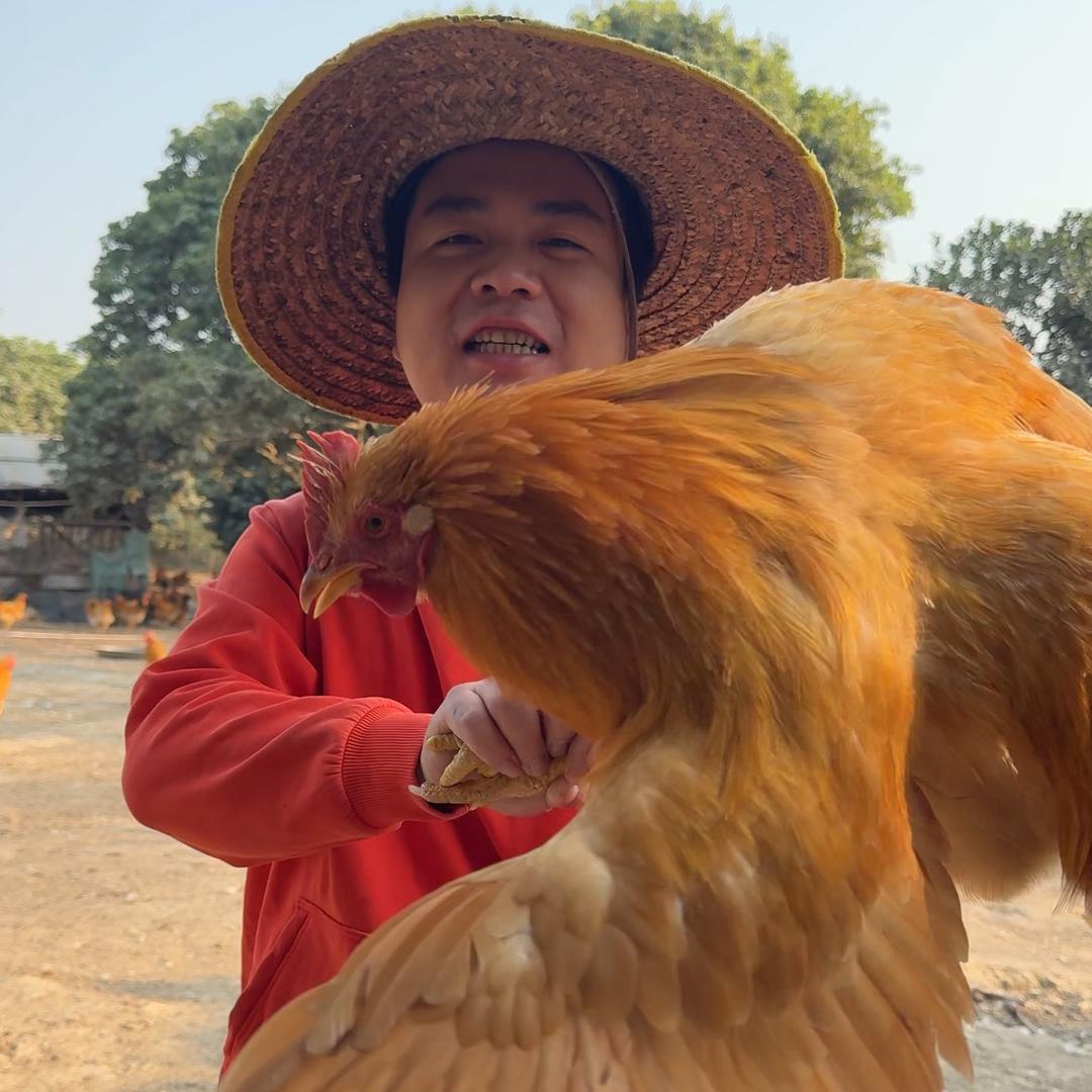 阳江锋味农场