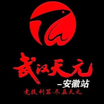 武汉天元—安徽站