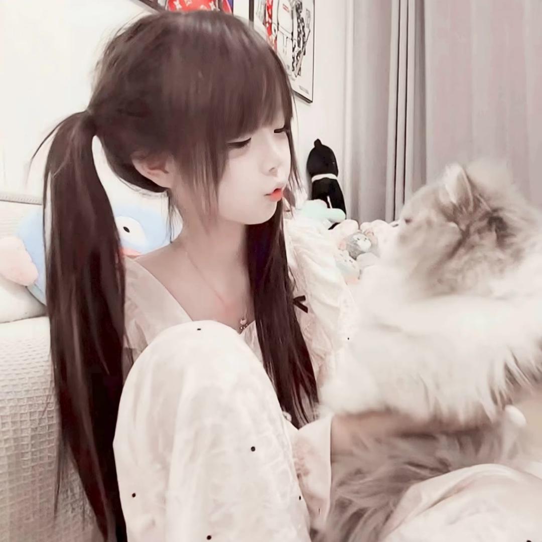 病树前的猫