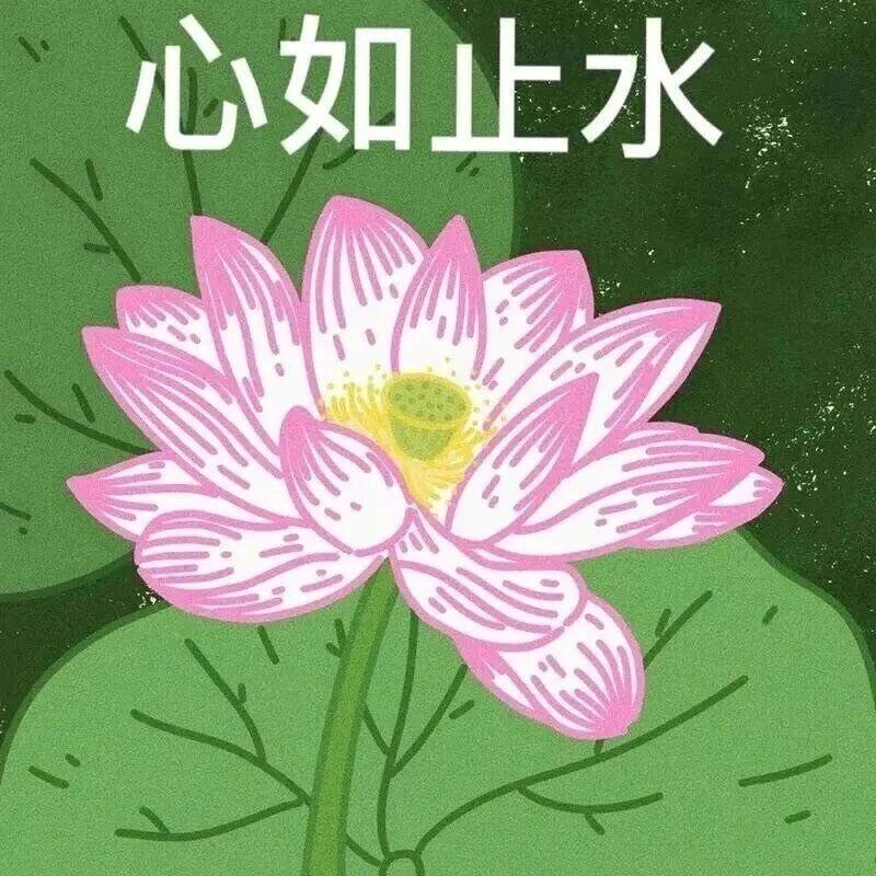知乐💤🥰