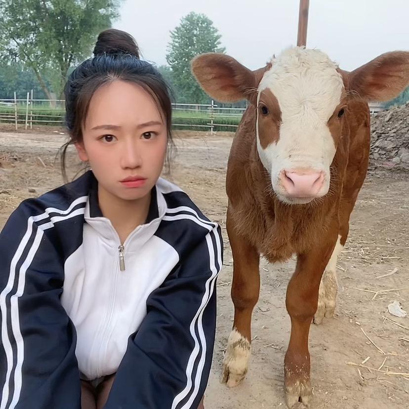 放牛妹 小周@抖音