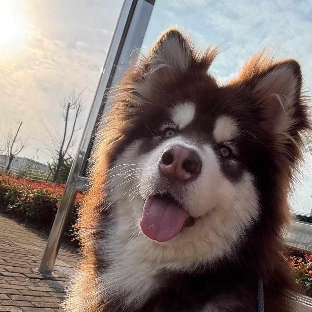 太阳☀️