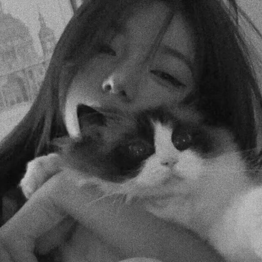 -張bb🦥