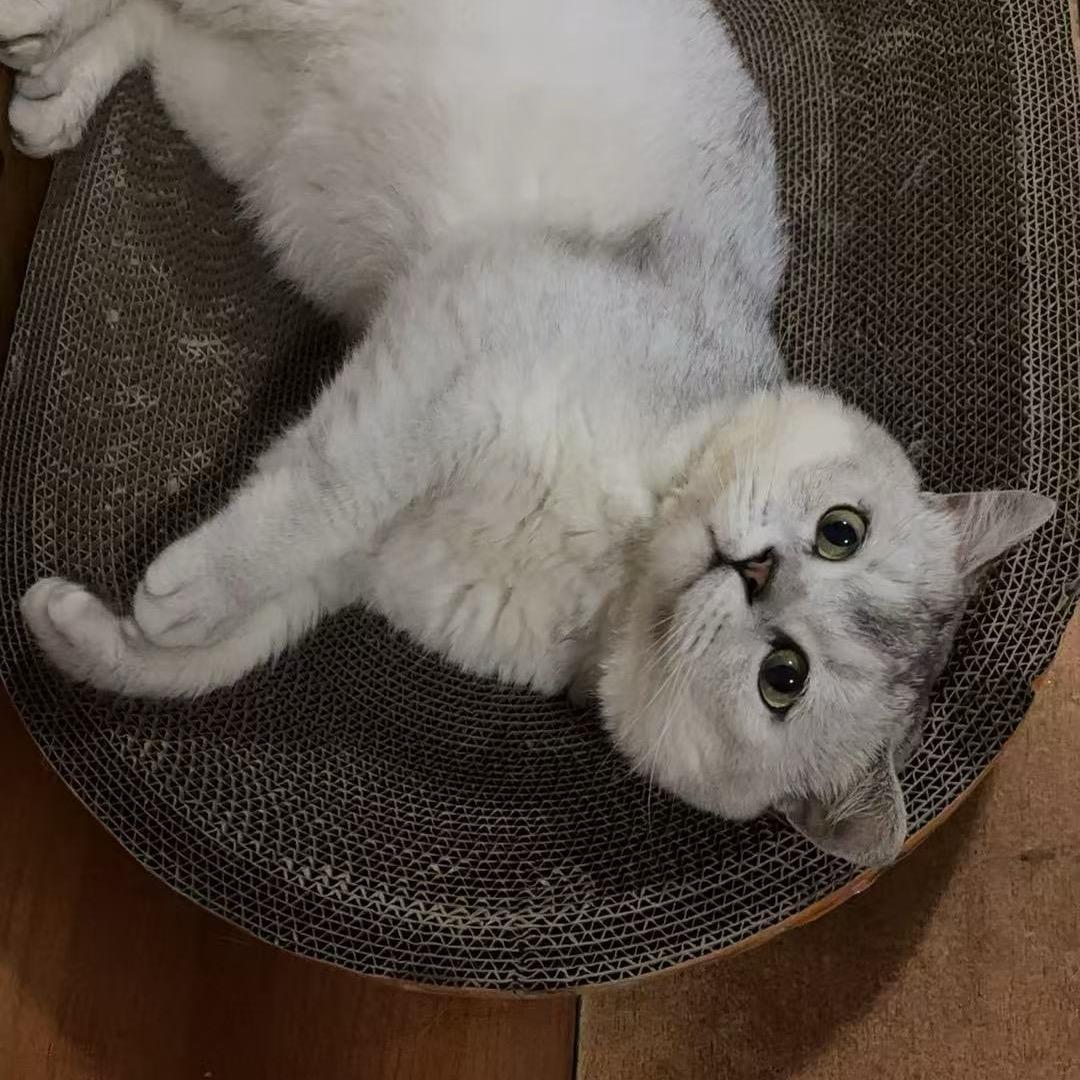 六六大顺