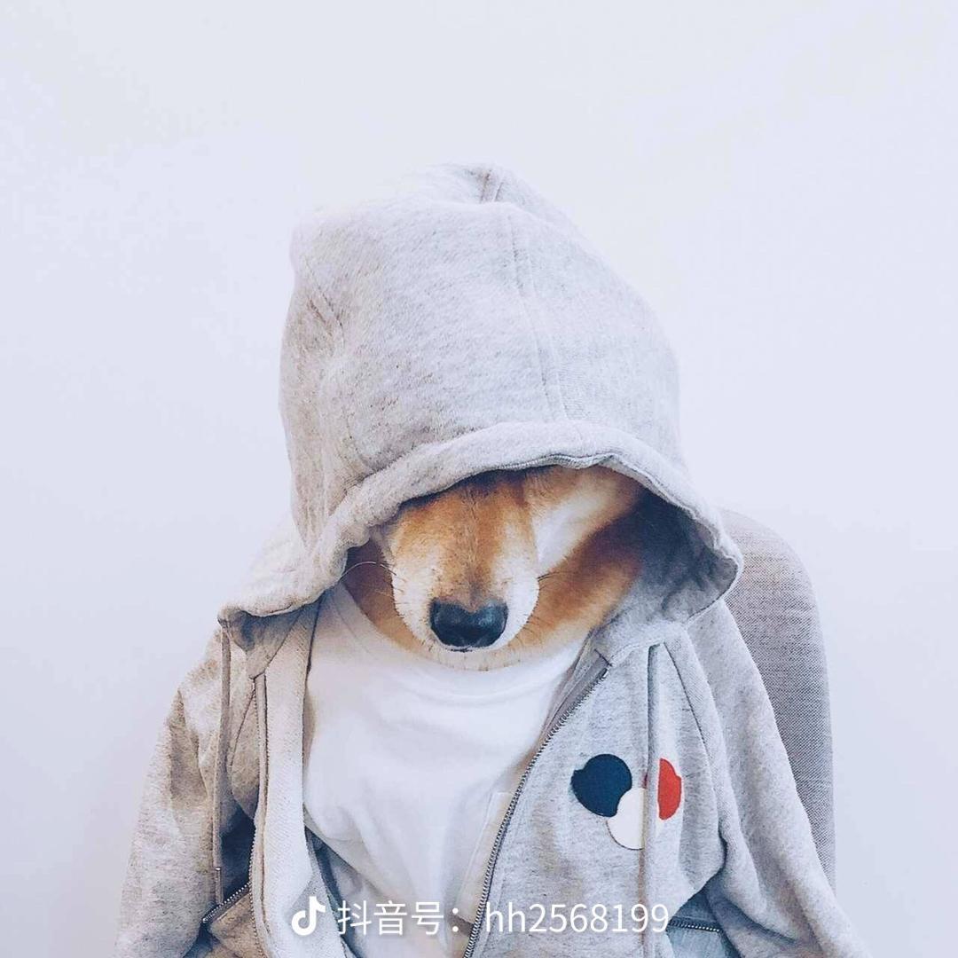 王哇塞
