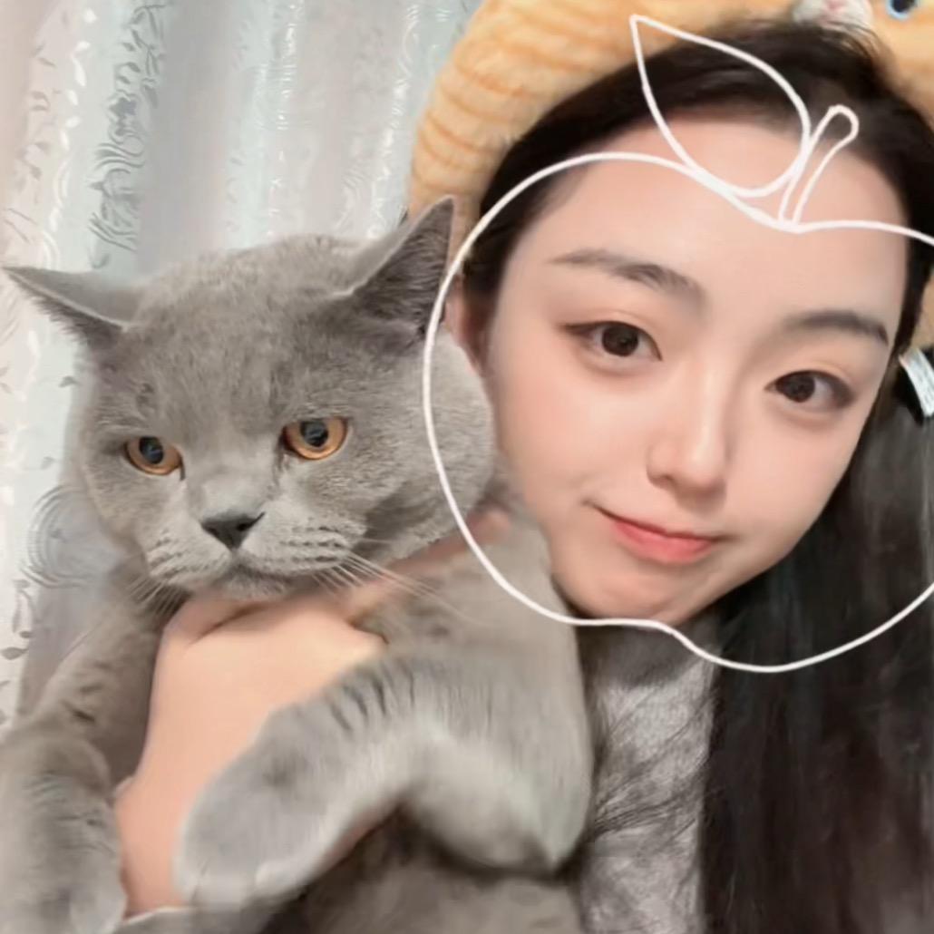 冬冬喵的日常 🐈‍⬛