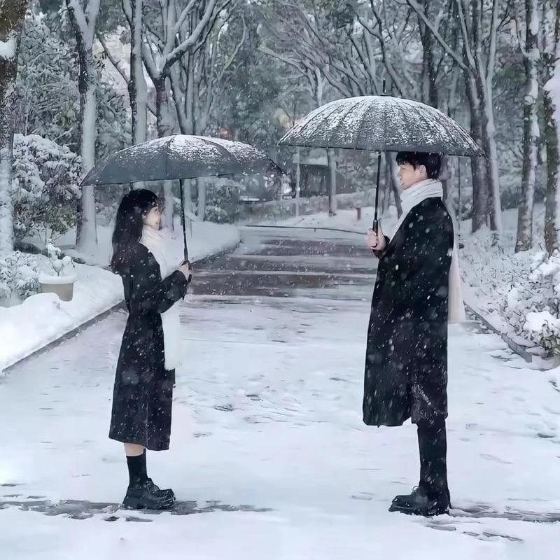 阿尔宾纳