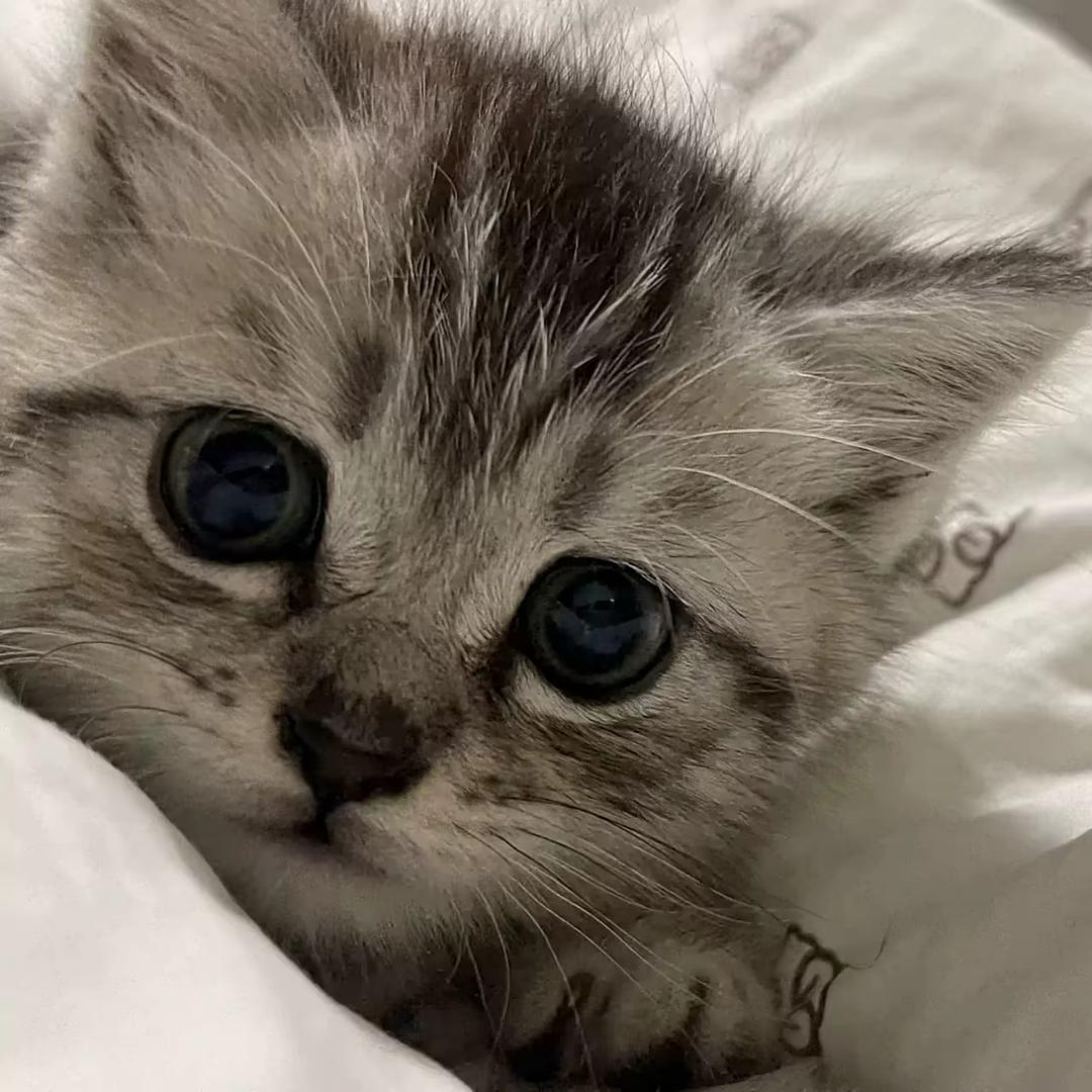 不眠夜^