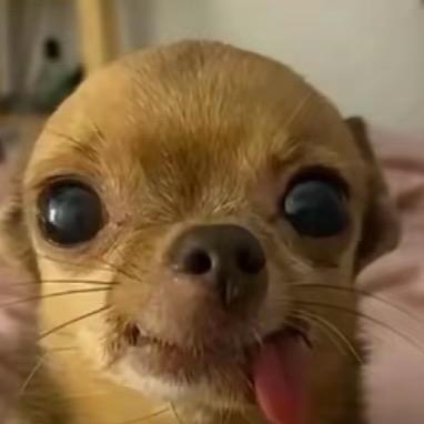 忆