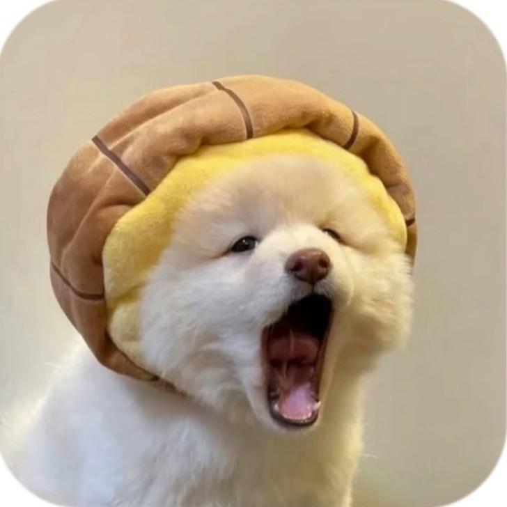 ZZZ。