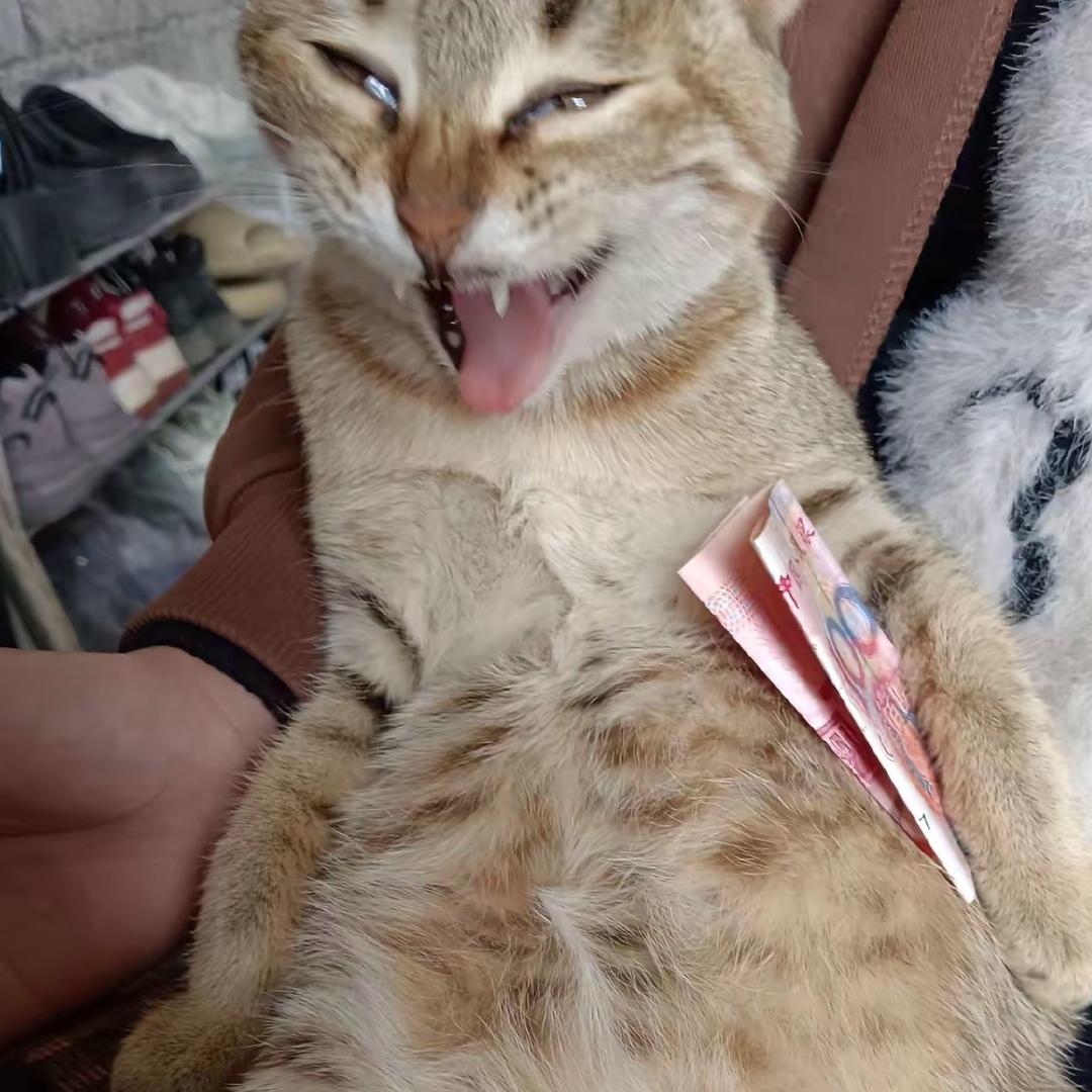 吃蛋挞不吐蛋挞皮的蛋挞大王