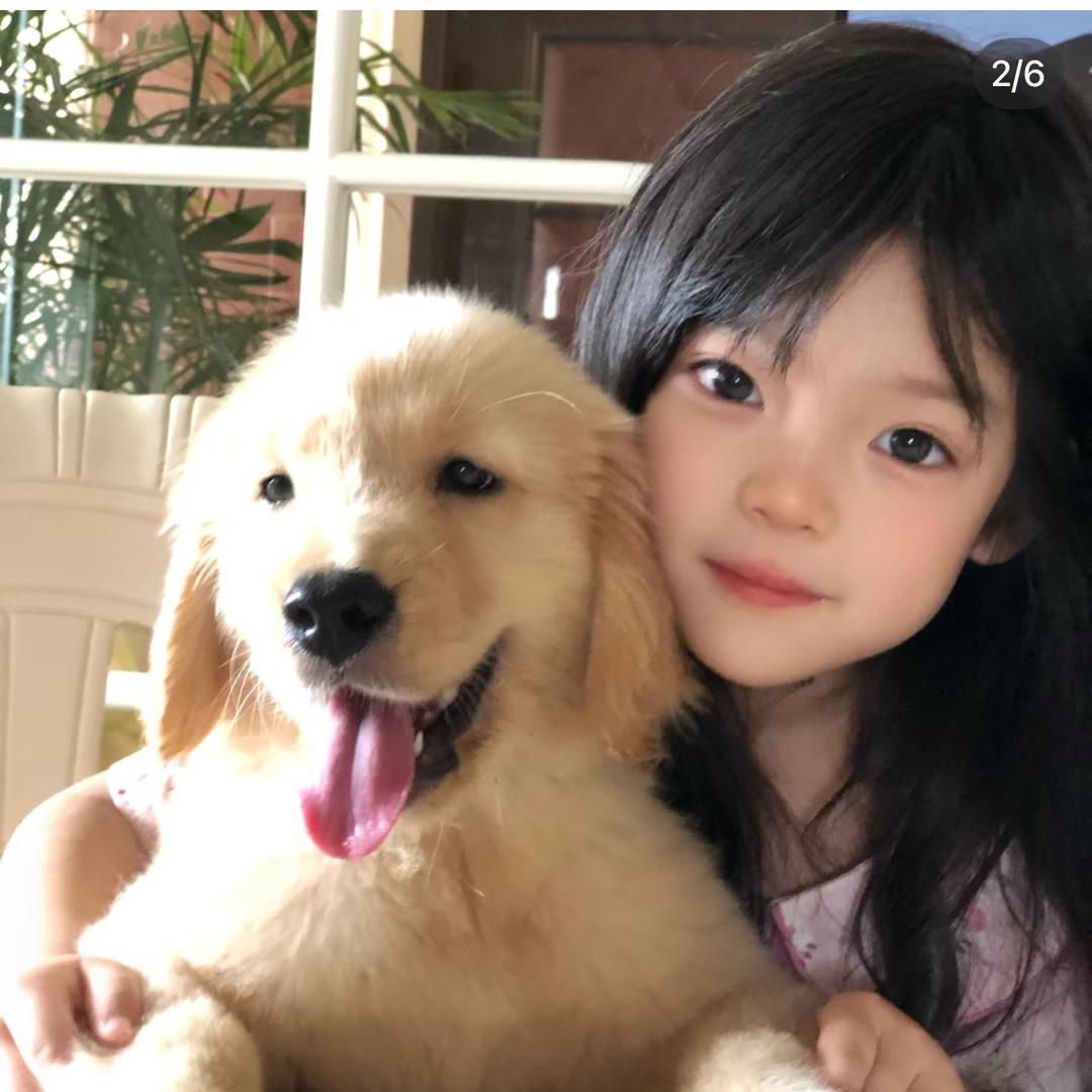 雾起🧚‍♀️