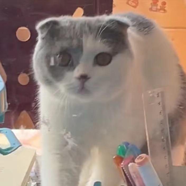 哎嘿，哎嘿嘿呀