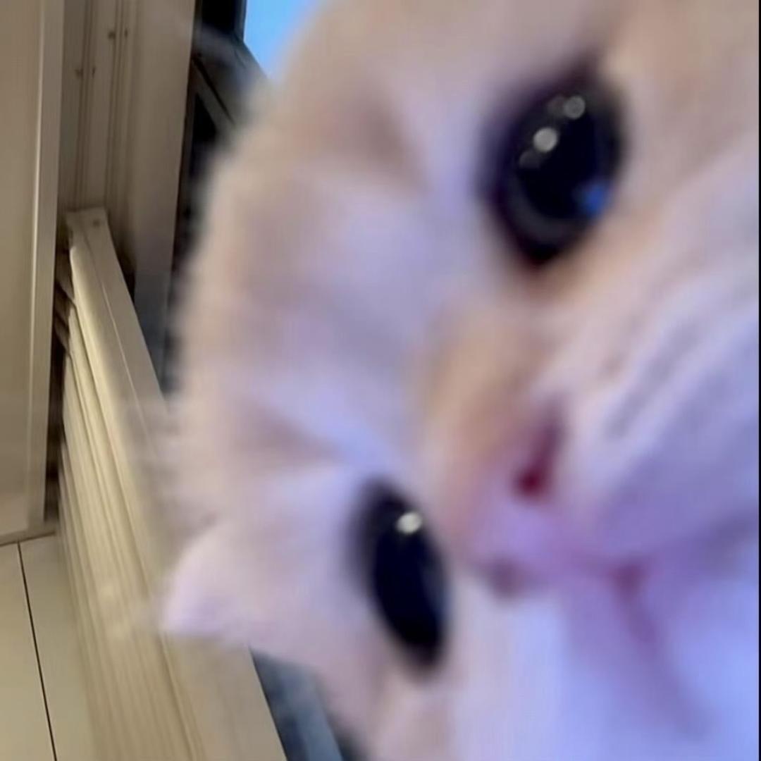 小猫^
