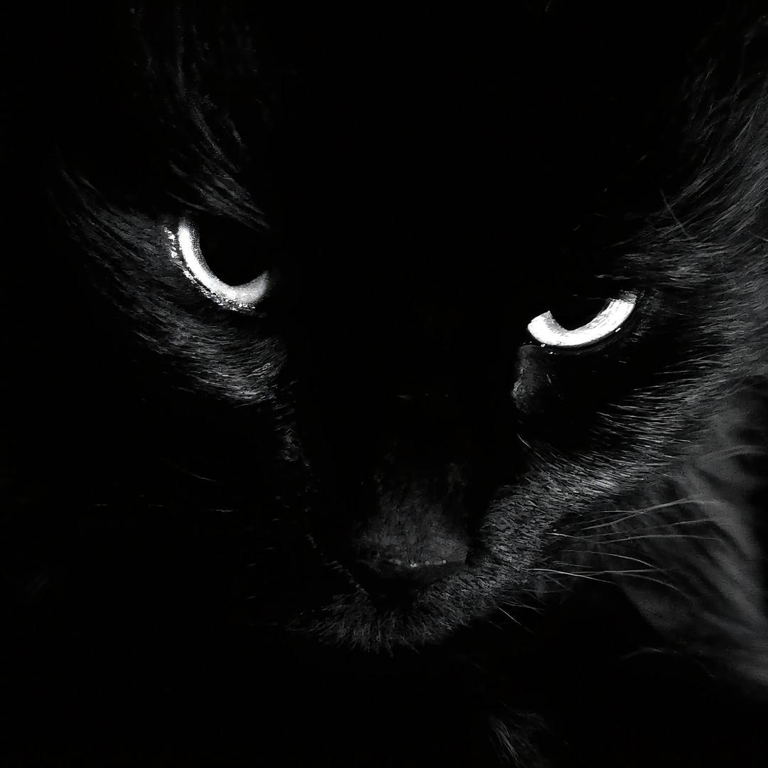 ￴ ￴￴￴￴ ￴￴￴ ￴￴ ￴