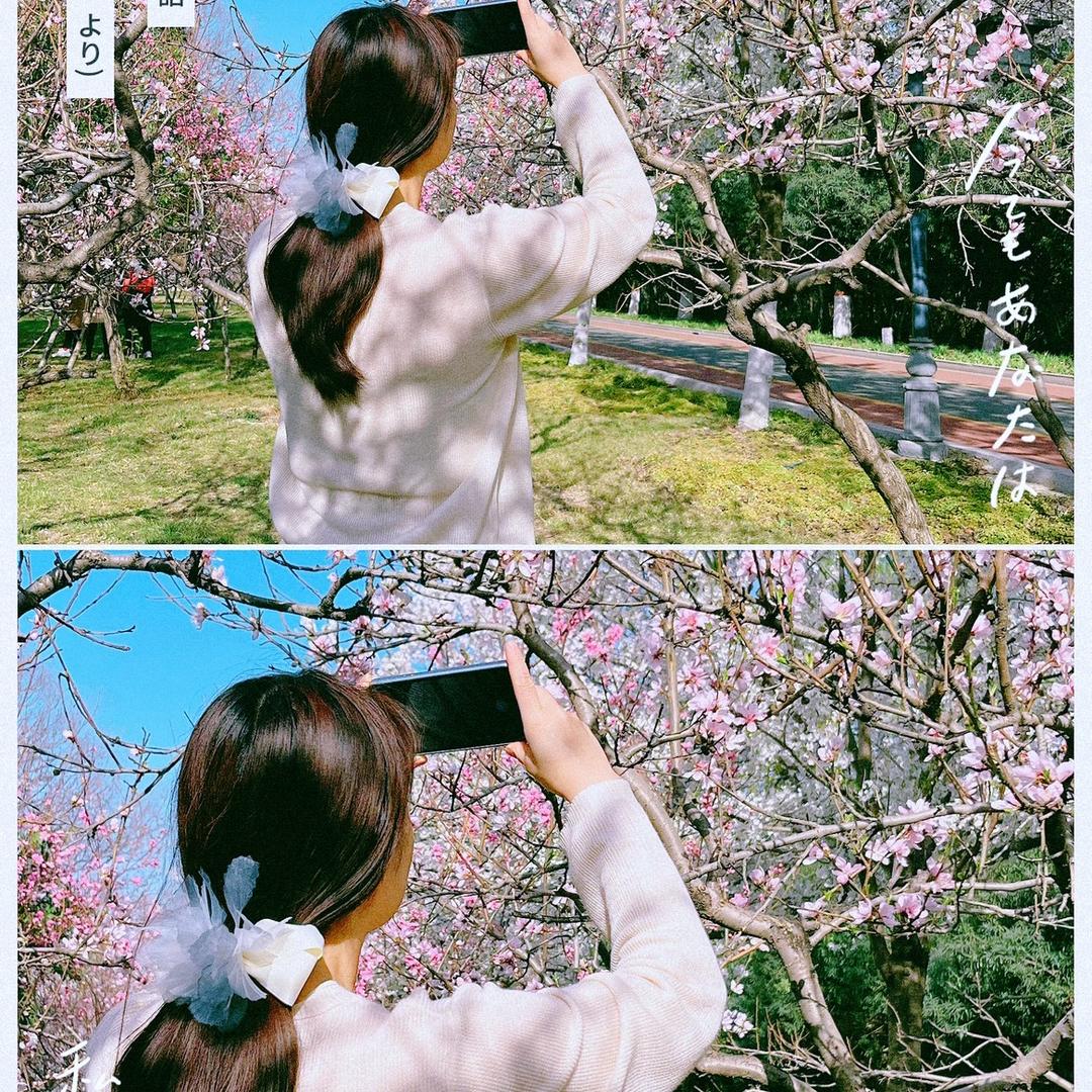 369元宵