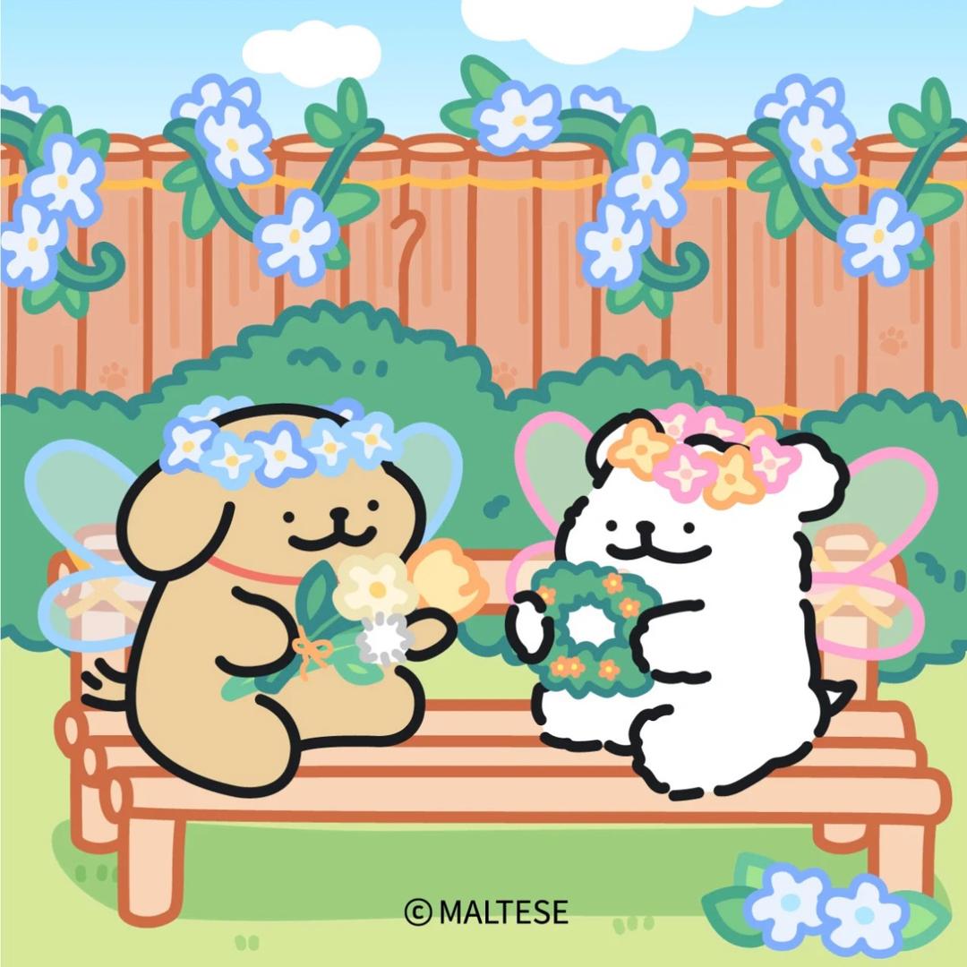 小鸡毛超级想小白