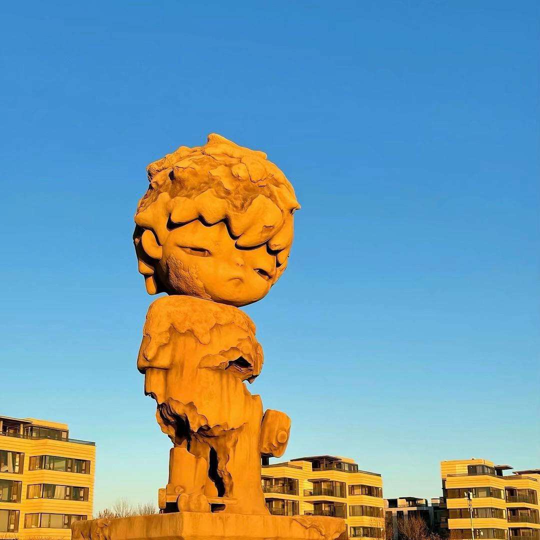 赴京先生