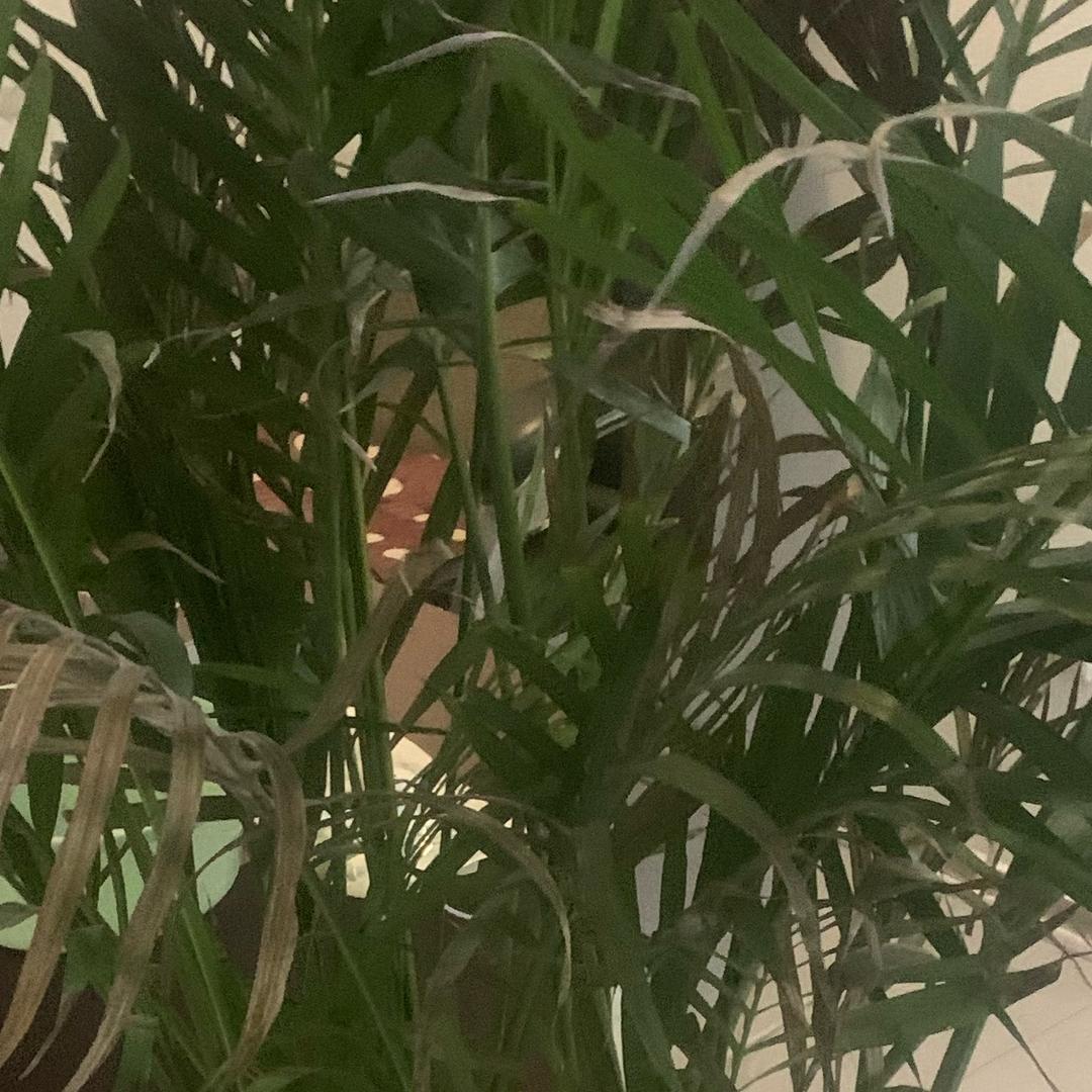 你想要的我都有