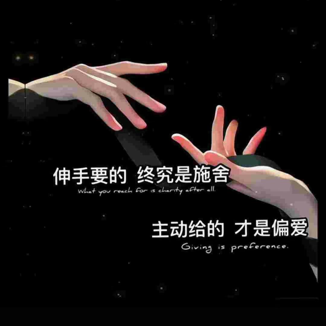 随风飘的～蒲公英