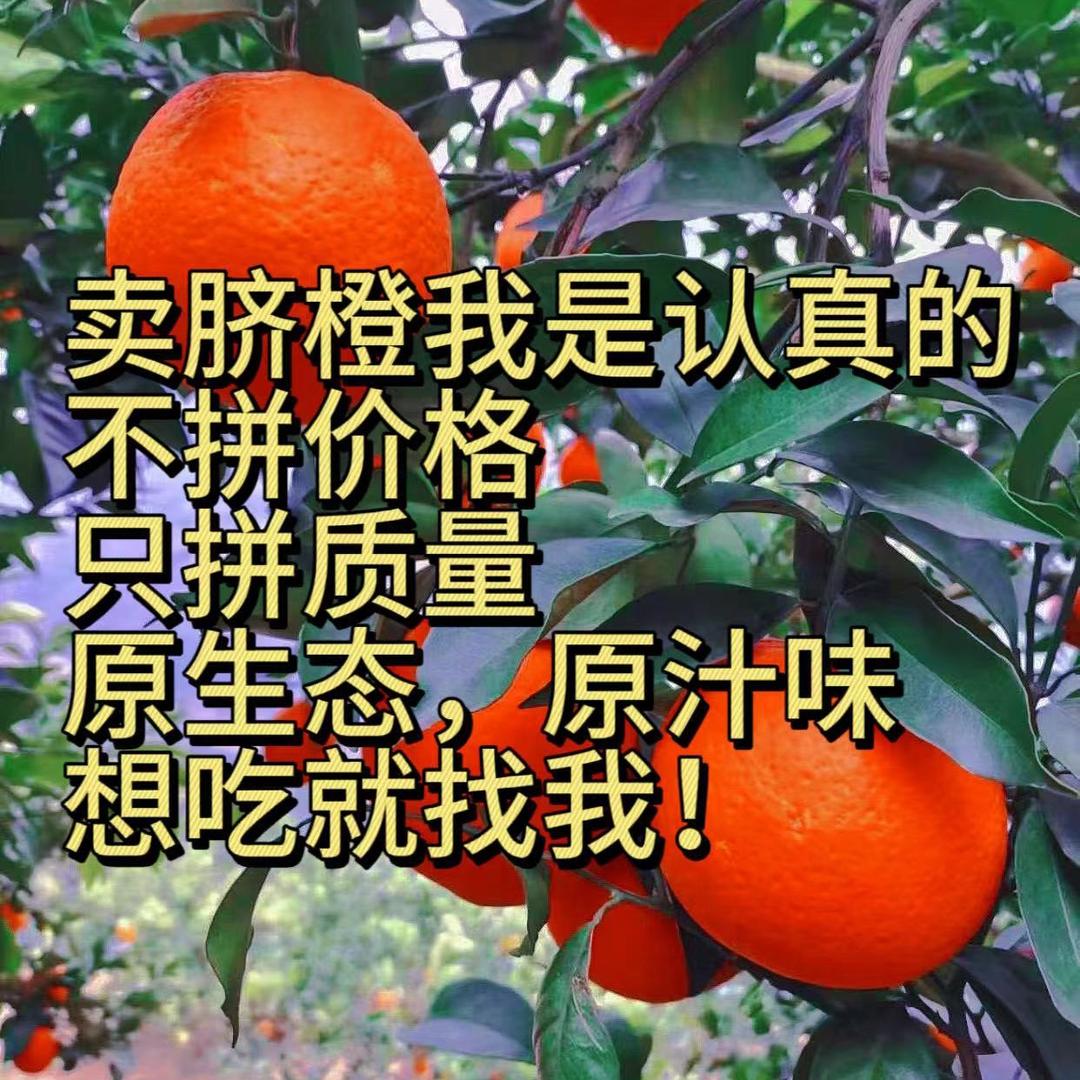 索图（橙子哥）