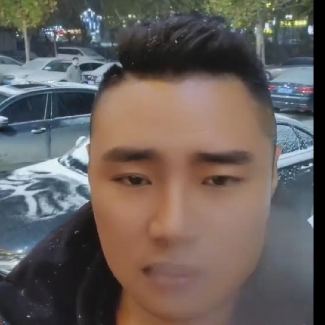 欢哥猛犬（纯种加纳利）