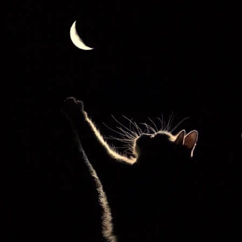 花里胡哨不要搞