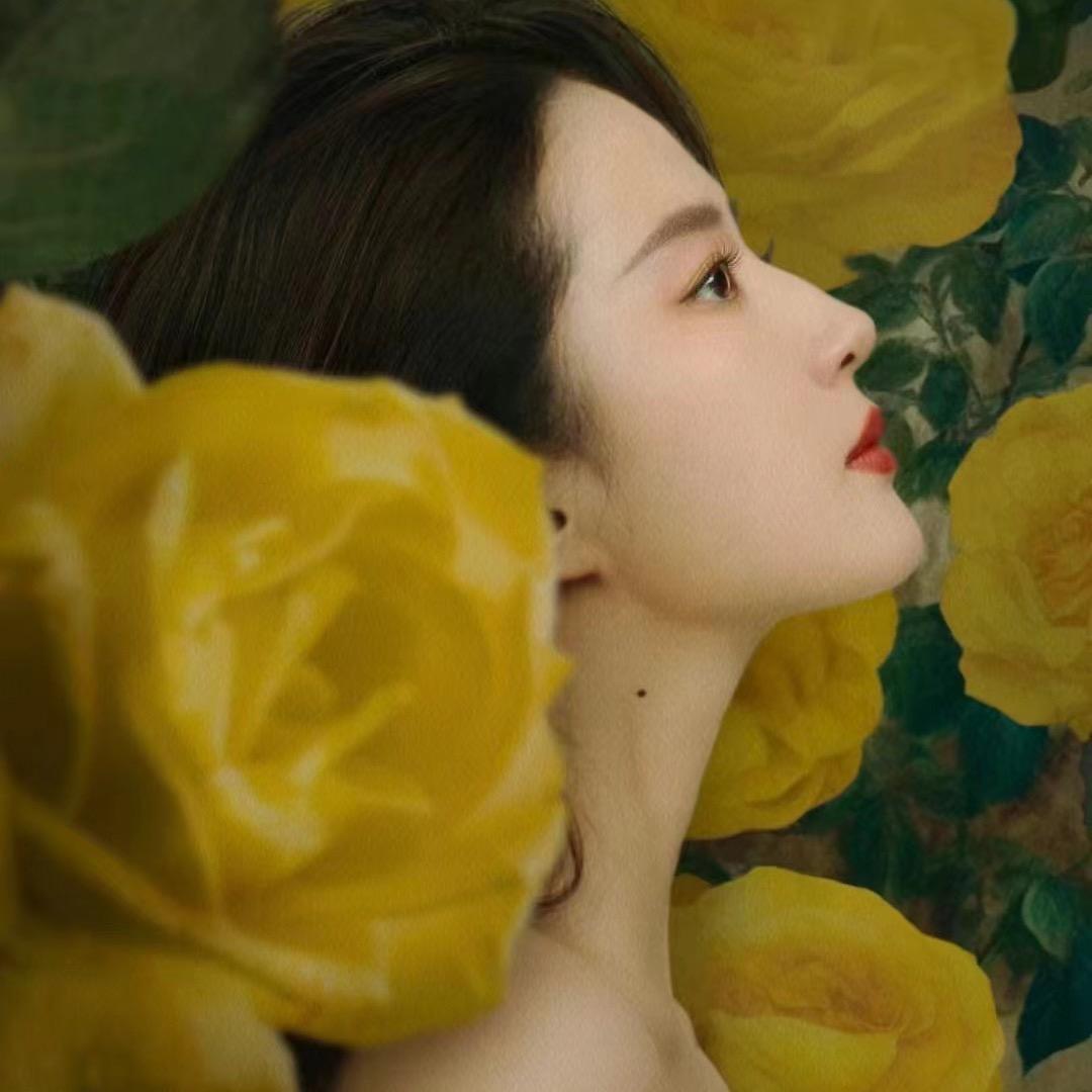 丹 丹（腾飞159）