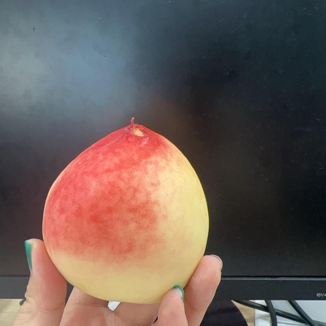杭漂生活～