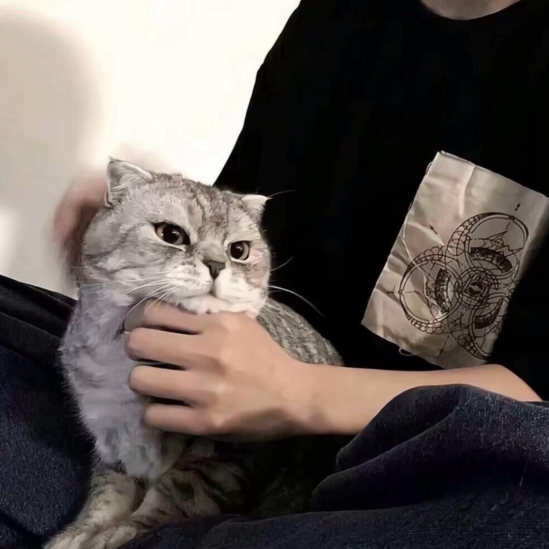 哇哈哈