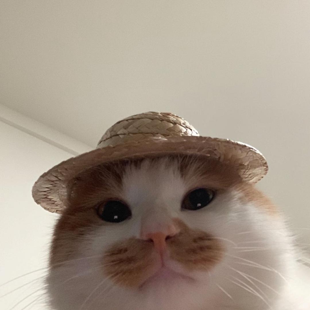 𝓛’𝒶𝓂𝑜𝓊𝓇