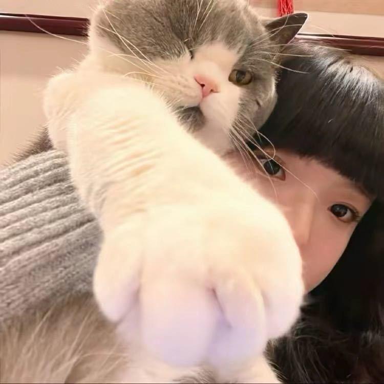 你狂你也叫小婷