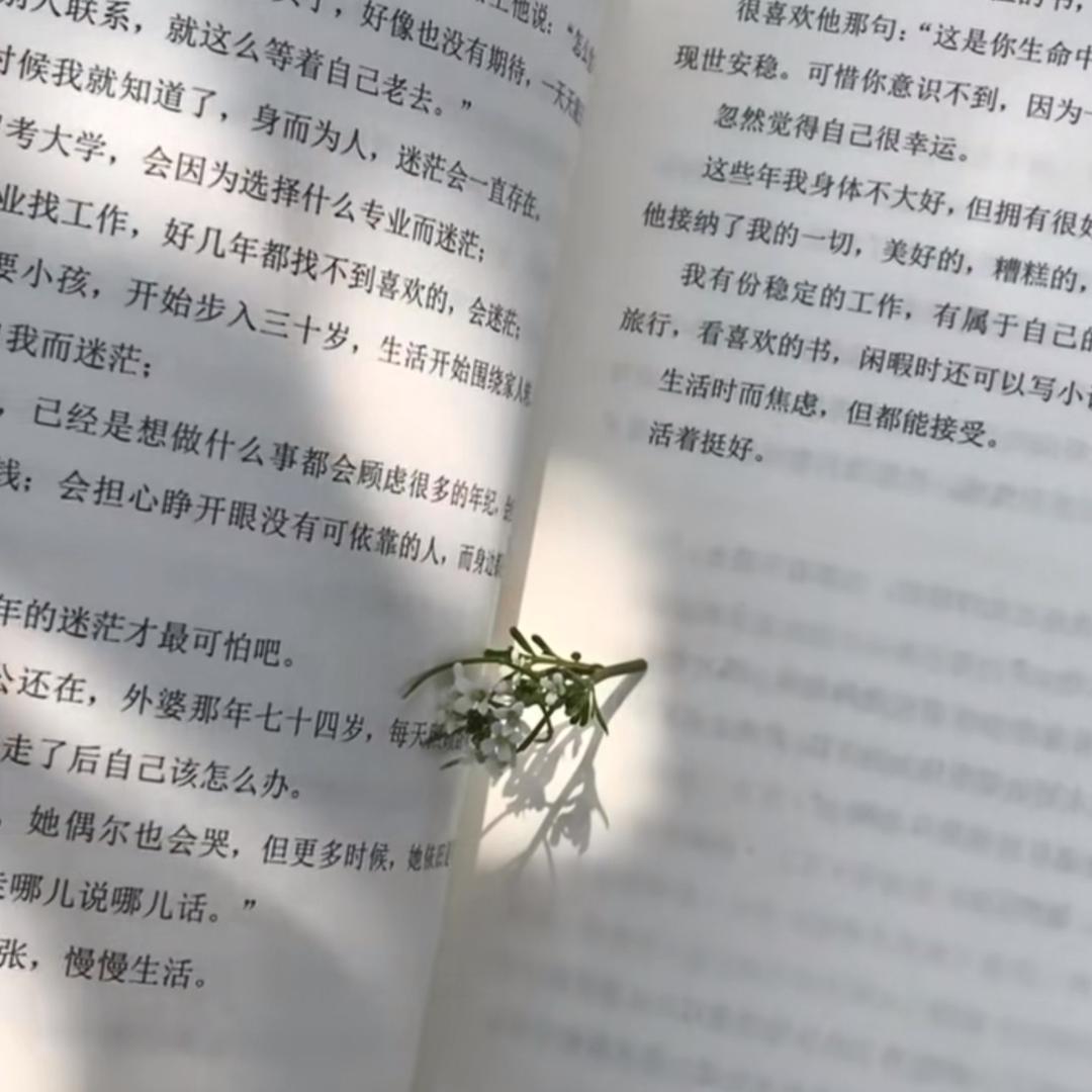 施檀恩