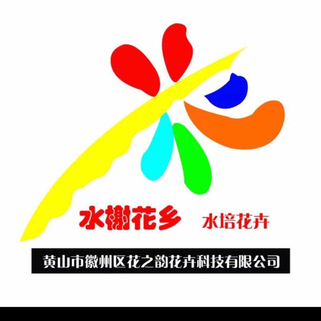 水榭花乡水培绿植