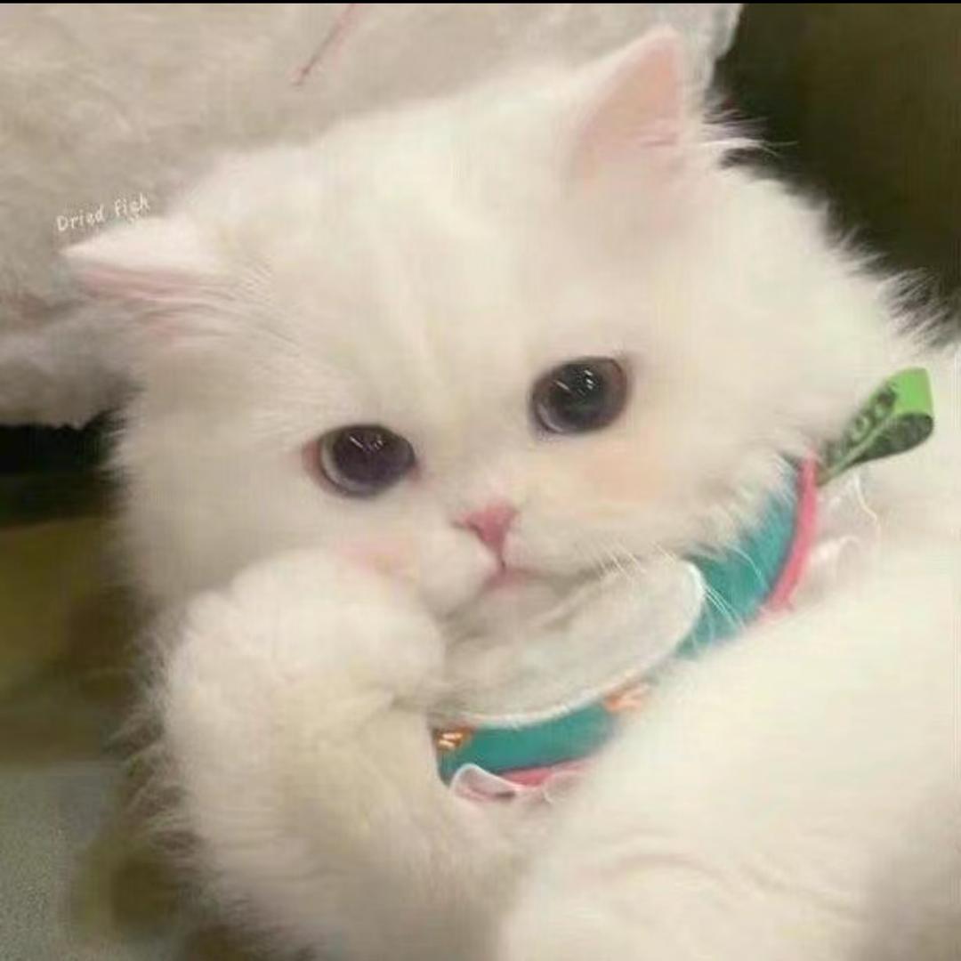 吹泡泡🫧