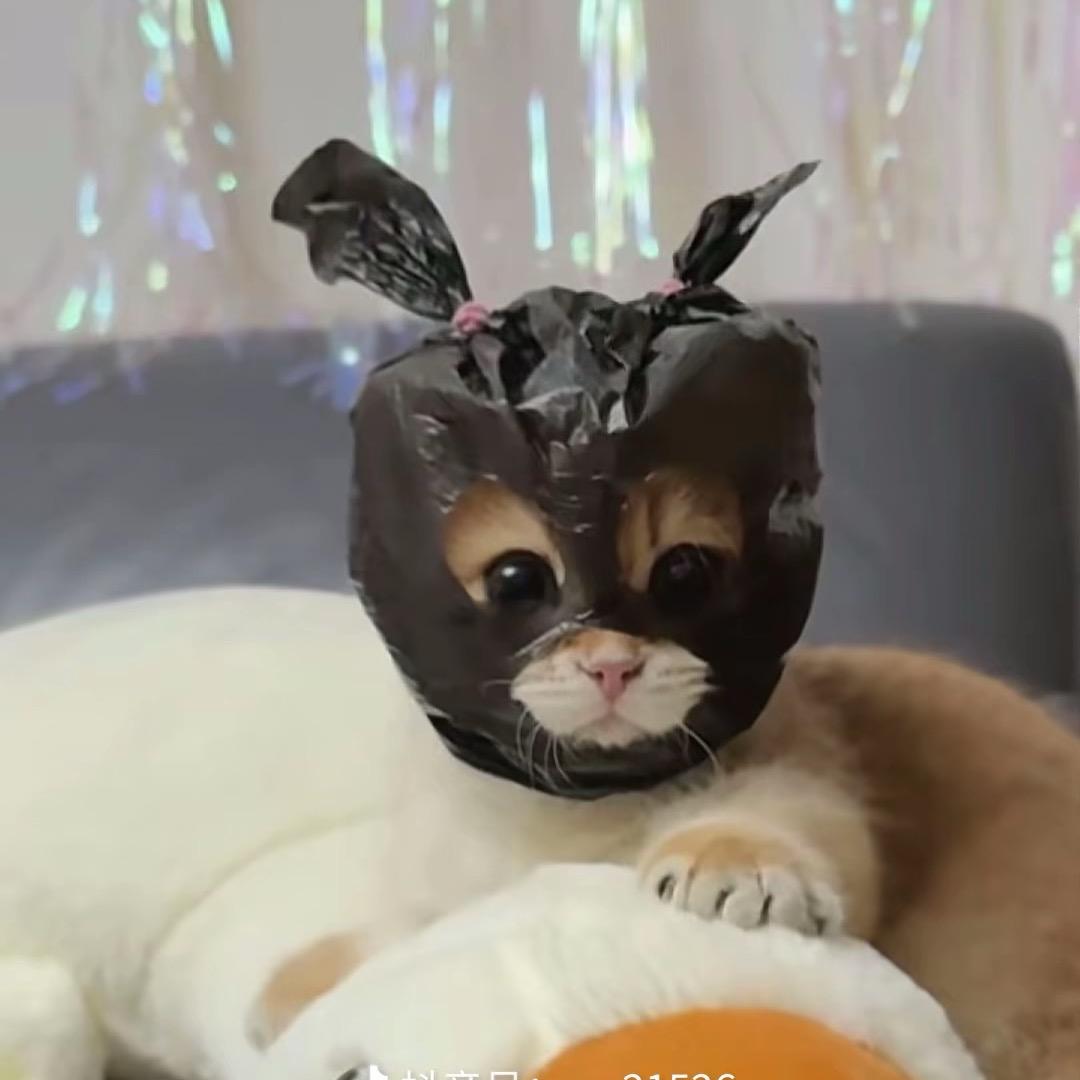 蕾霸天💚💛❤️