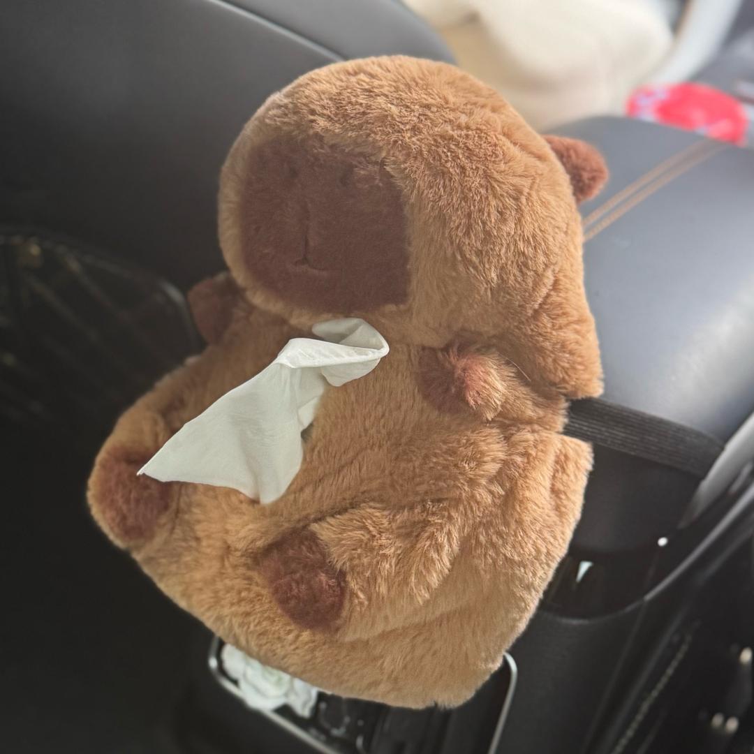 薄荷健康毛毛