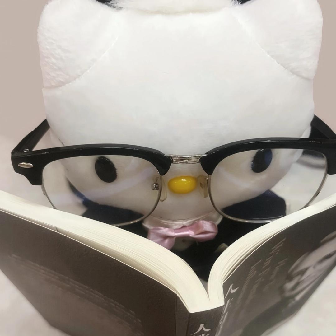 是张迪帅